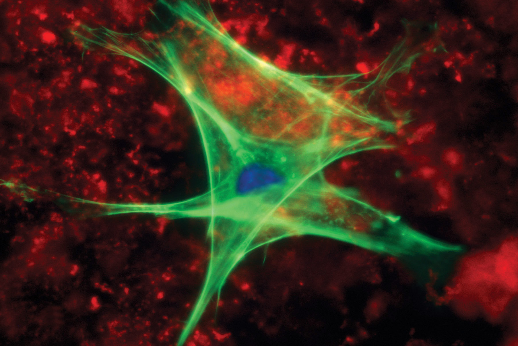 disinfecting surfaces to eliminate potential pathogens